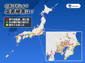 台風24号がもたらした塩害被害